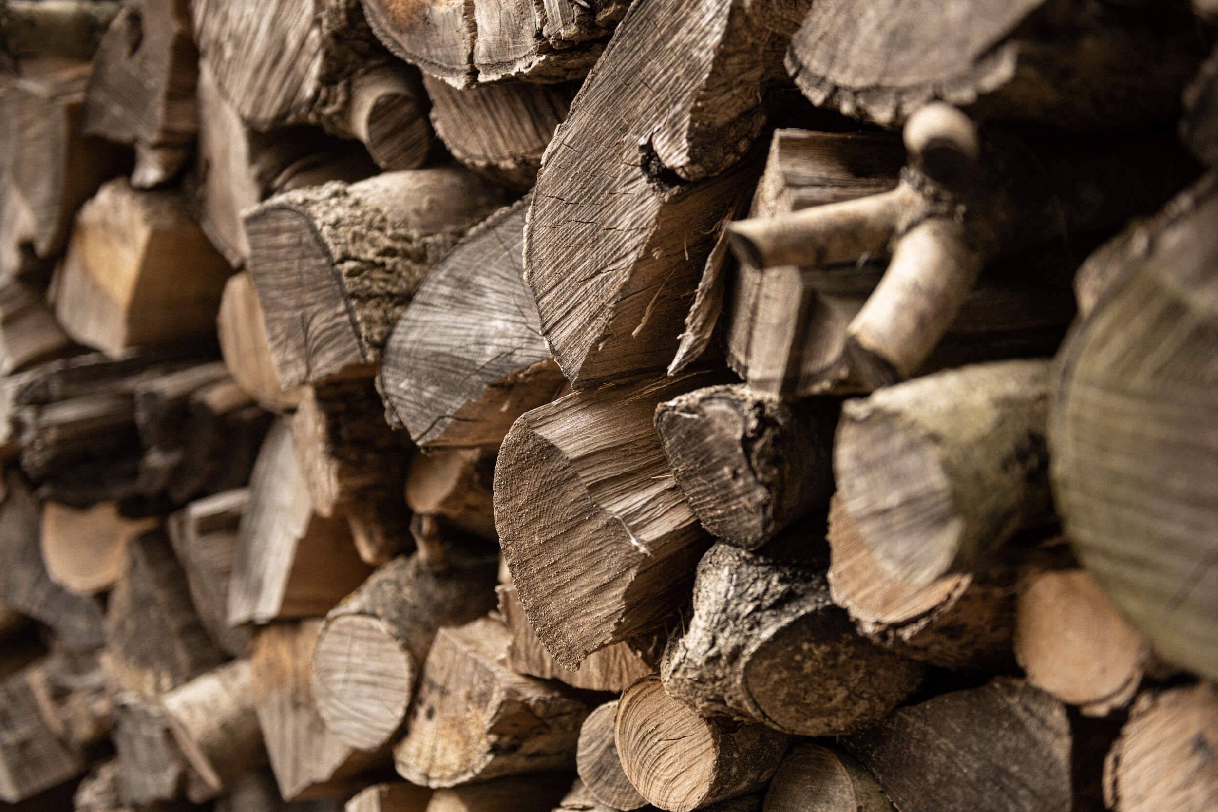 Close up of some cut wood