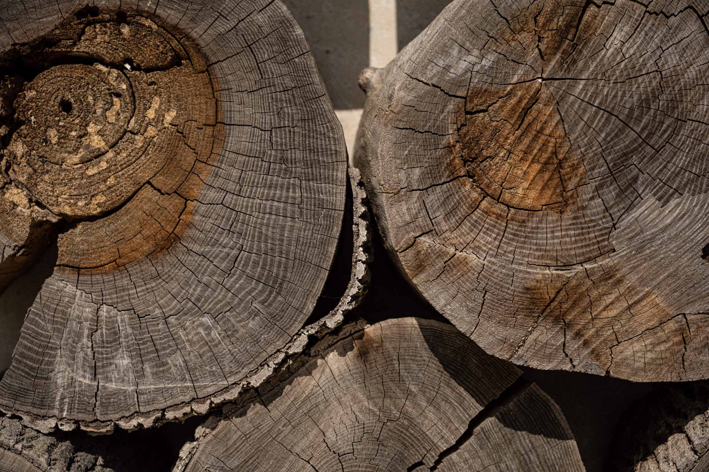 close up of stacked tree trunks